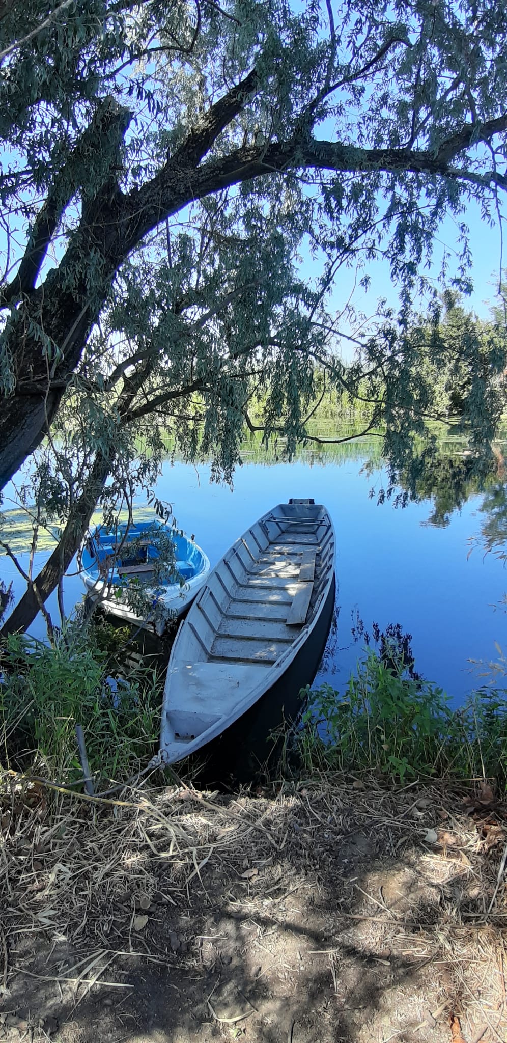 Barche sul torrente Agogna in località il Quercione